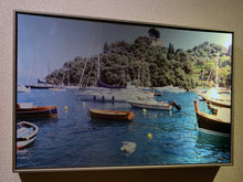 Load image into Gallery viewer, Dog Swimming Rapallo Italy framed art print by Rachael Grad side