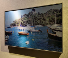 Load image into Gallery viewer, Dog Swimming Rapallo Italy framed artwork by Rachael Grad