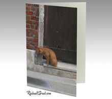 Load image into Gallery viewer, Cat and Dog Venice Italy Stationery Note Card Set by Toronto Artist Rachael Grad front