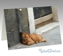 Load image into Gallery viewer, Orange Cat Sleeping Stationery Note Card by Canadian Artist Rachael Grad