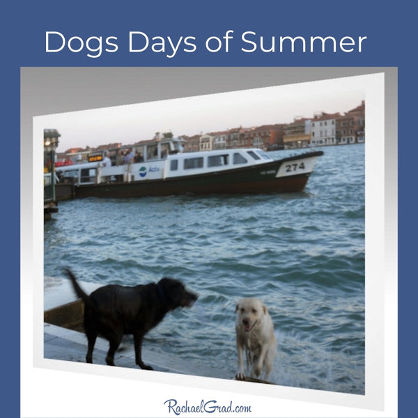 Dog Days of Summer: 2 Dogs Swimming in Venice, Italy