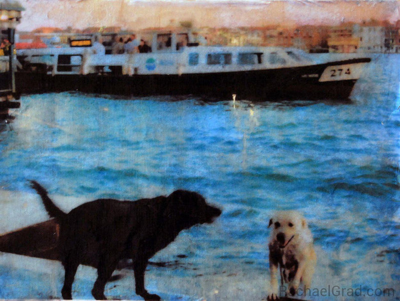 Dogs, Cats & Ghosts: Mixed Media Artwork of Venice, Italy