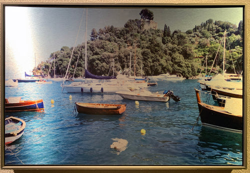 Dog Swimming Rapallo Italy framed art print by Rachael Grad