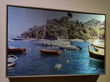 Load image into Gallery viewer, Dog Swimming Rapallo Italy framed art print by Rachael Grad side