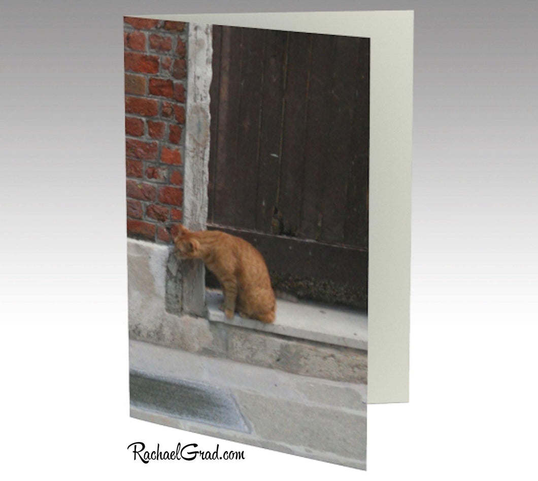 Cat and Dog Venice Italy Stationery Note Card Set by Toronto Artist Rachael Grad front