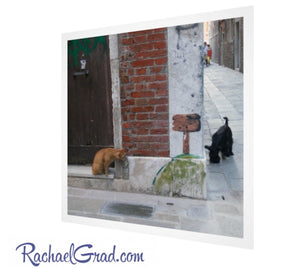 Cat and Dog Art Print by Toronto Artist Rachael Grad