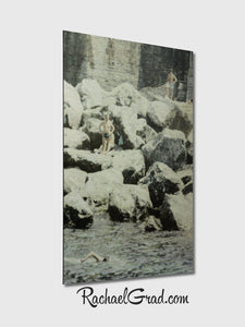 On The Rocks Swimmers in Cinque Terre Italy Art Print on Metal by Toronto Artist Rachael Grad