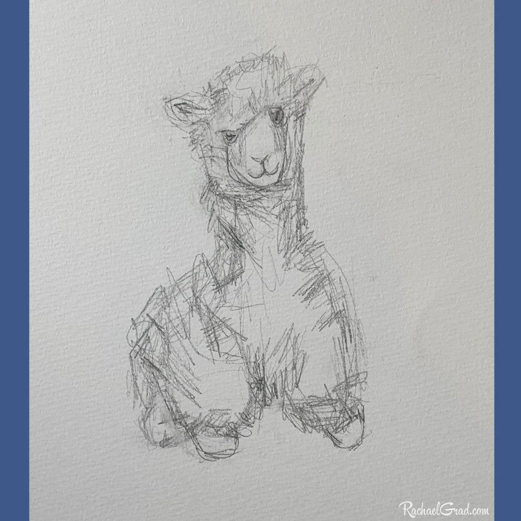 Silly Toy Llama Drawing by Canadian Artist Rachael Grad