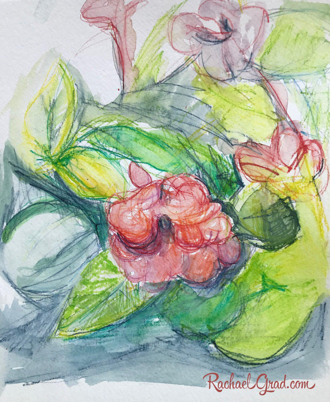 Pink Flowers 1 Drawing 9